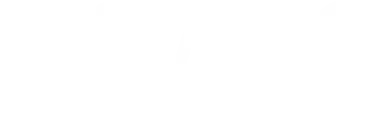 Логотип Rodno.ru